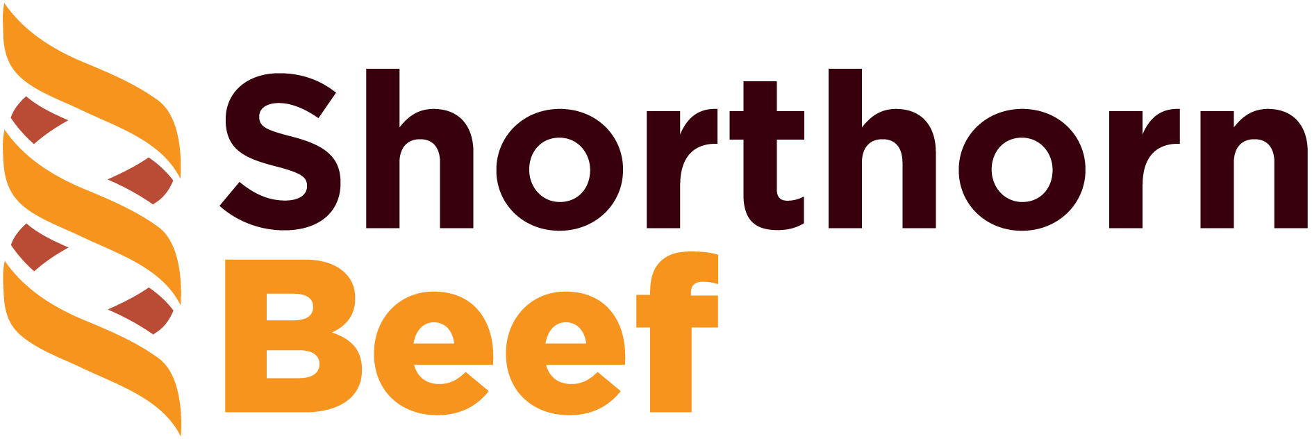 Shorthorn Beef
